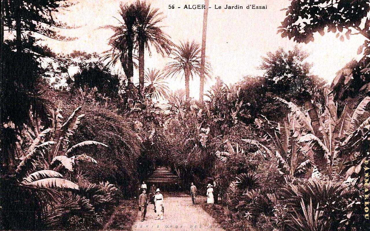 Alger - Jardin d'essai.jpg